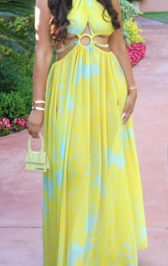 Honey Multi Maxi Dress | Multi